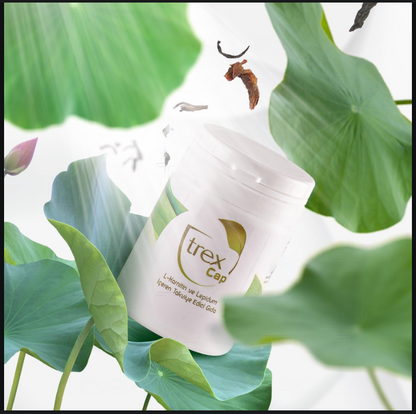 Une détox Compléments - Trex Tea France